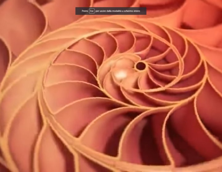 La Sequenza di Fibonacci