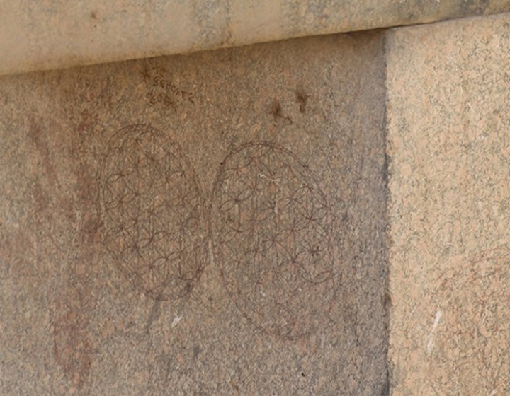 Geometria Sacra, Fiore di Abydos