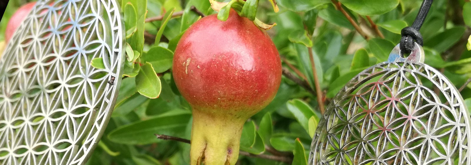 CIONDOLO FIORE DELLA VITA